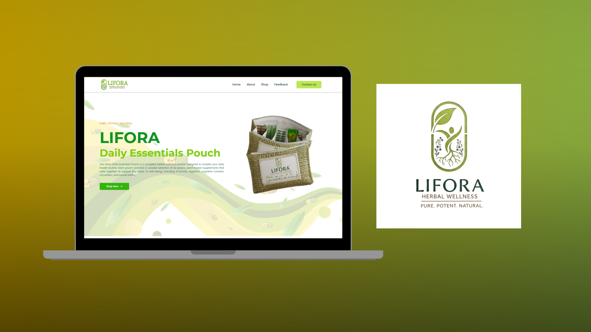 Lifora Project
